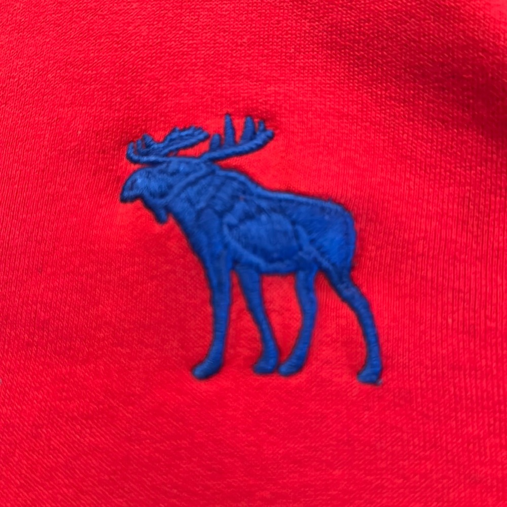 Abercrombie & Fitch Sweatshirt Mens small red Hoodie Pullover Henley Muscle